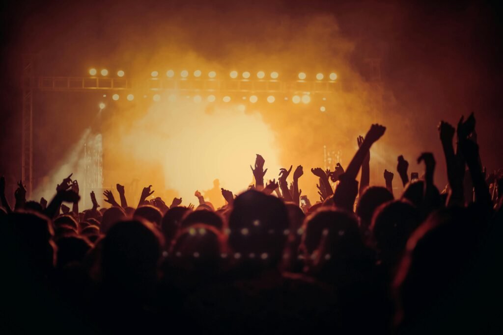 Audience at a concert venue
